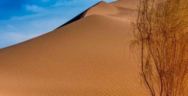 A Honeymoon in Kazakhstan: Individual Tour to Charyn, Kolsai, and the Singing Dune
